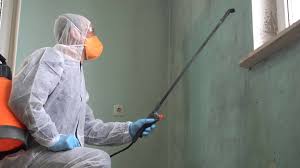 Best Basement Mold Removal in Arbuckle, CA