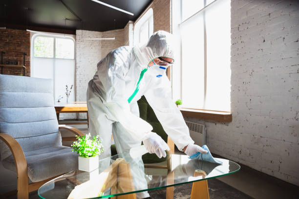 Best Comprehensive Air Testing for Mold Contaminants in Arbuckle, CA